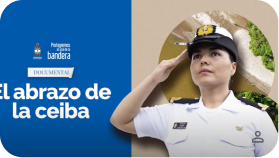 Documental 