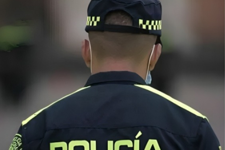 Imagen de referencia