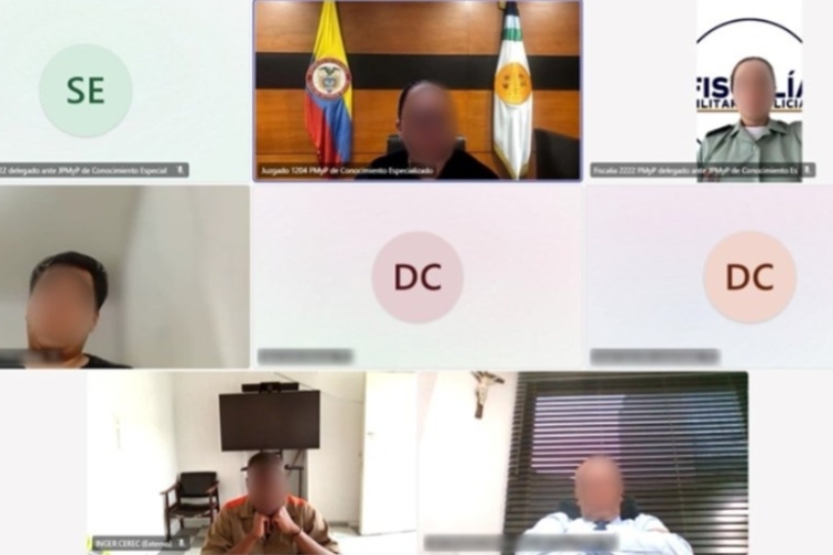 Audiencia virtual