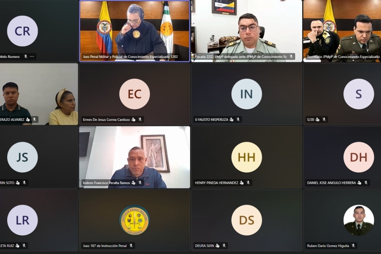 audiencia virtual 